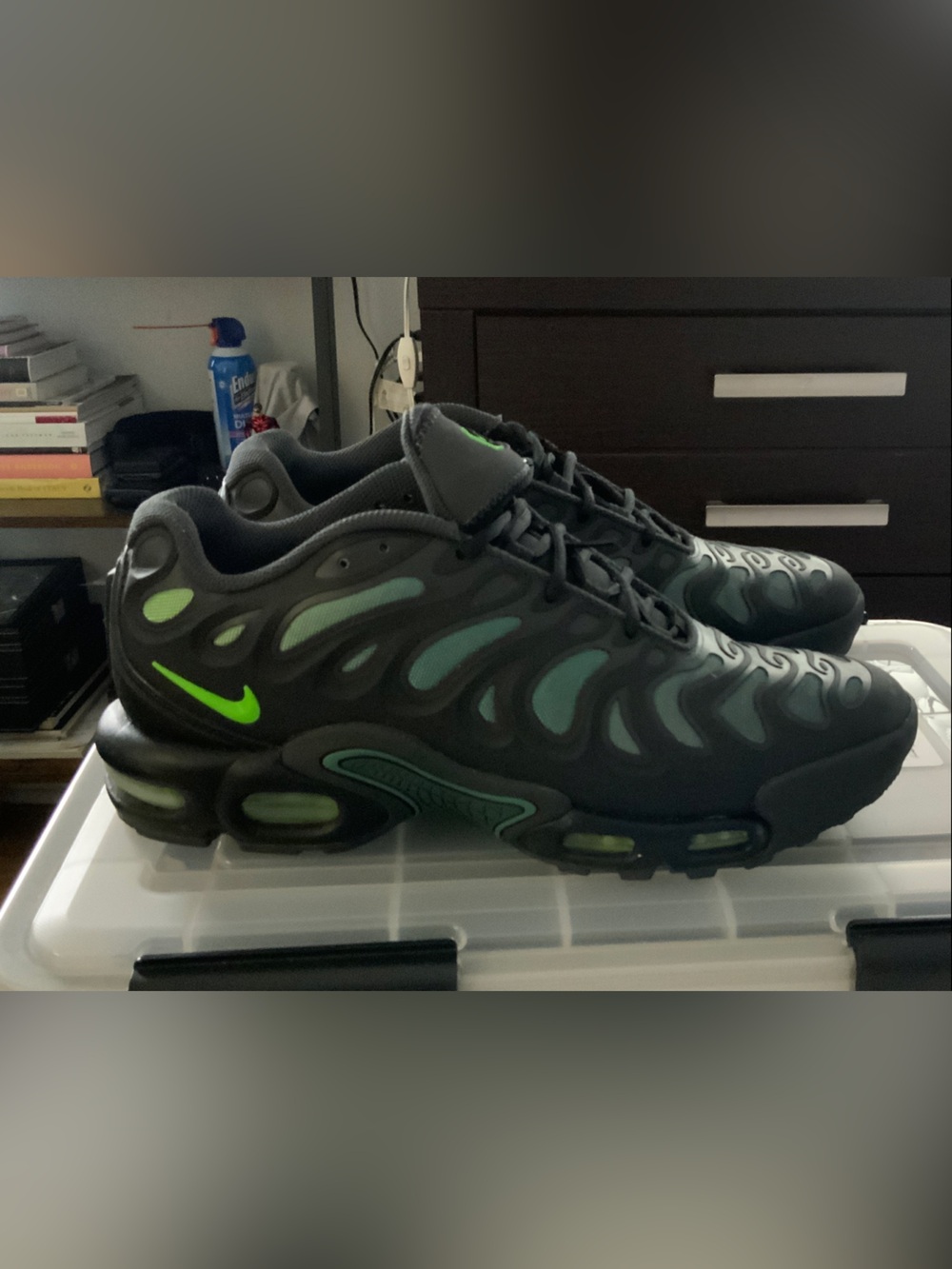 Nike Air Max tn shoes
